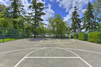 Full outdoor basketball court